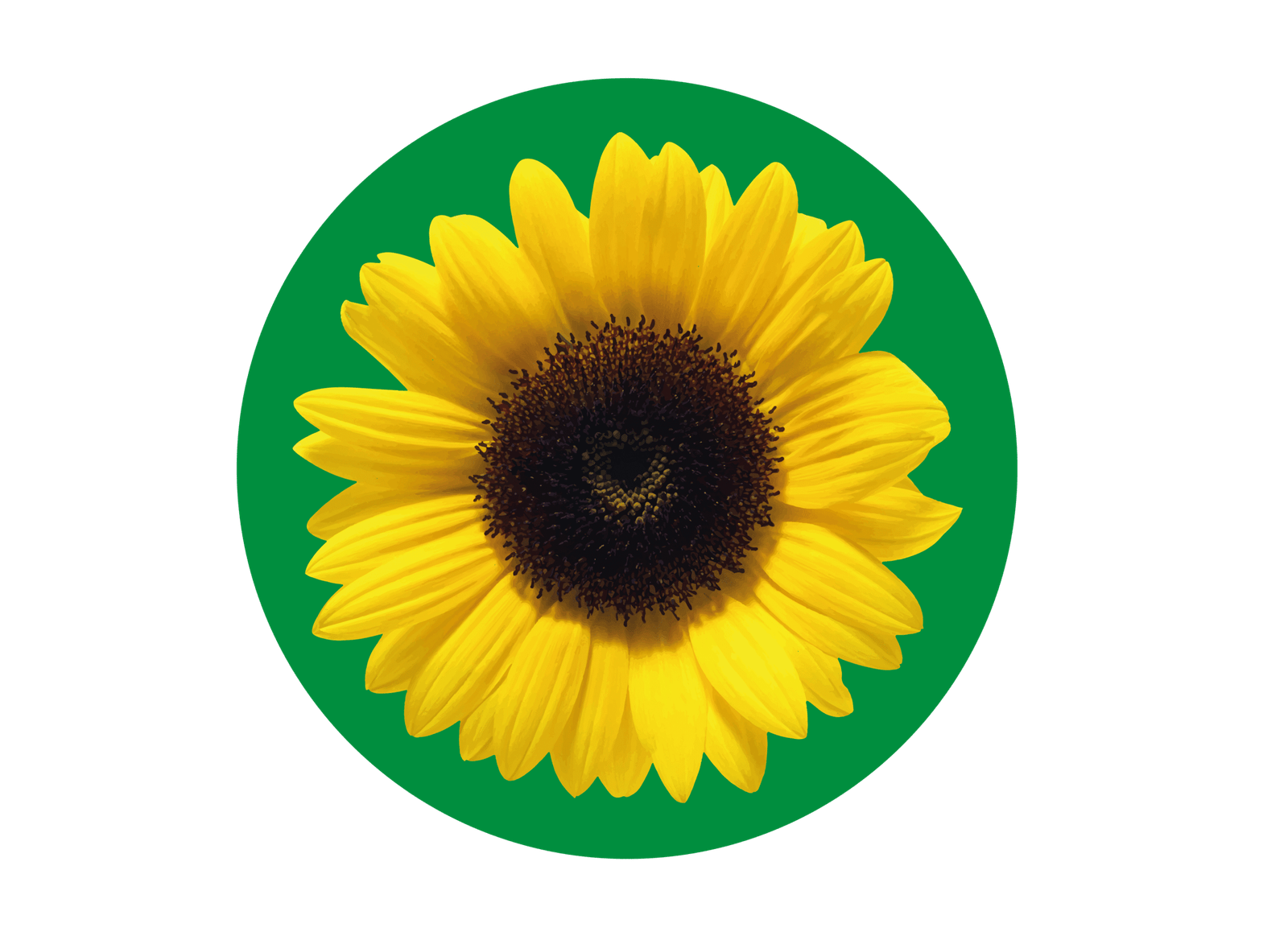 Hidden Disabilities Sunflower
